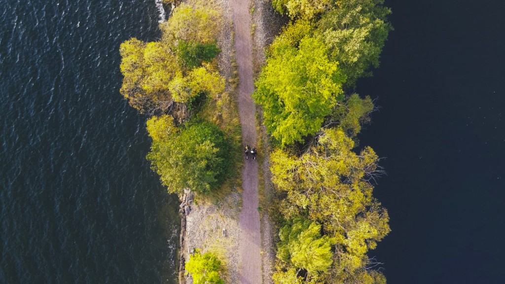 deux vélos circulent décor bordé d'eau parc de Miribel Jonage Lyon